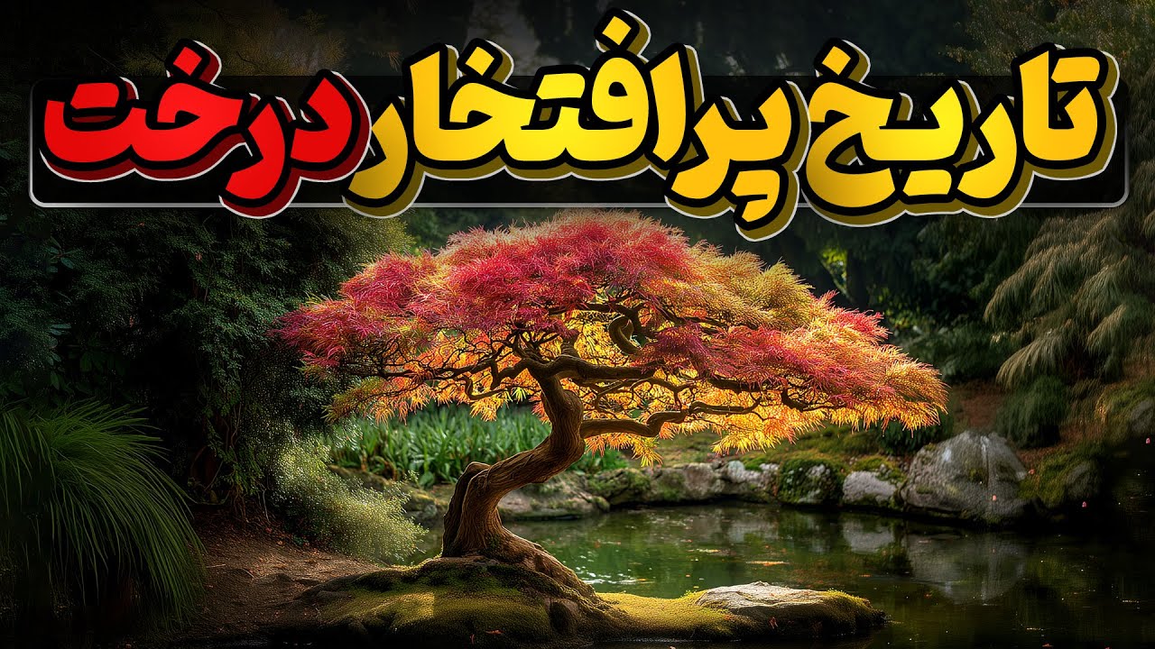 پوستر تاریخ شگفت‌انگیز و افتخارآمیز درختان بر روی زمین