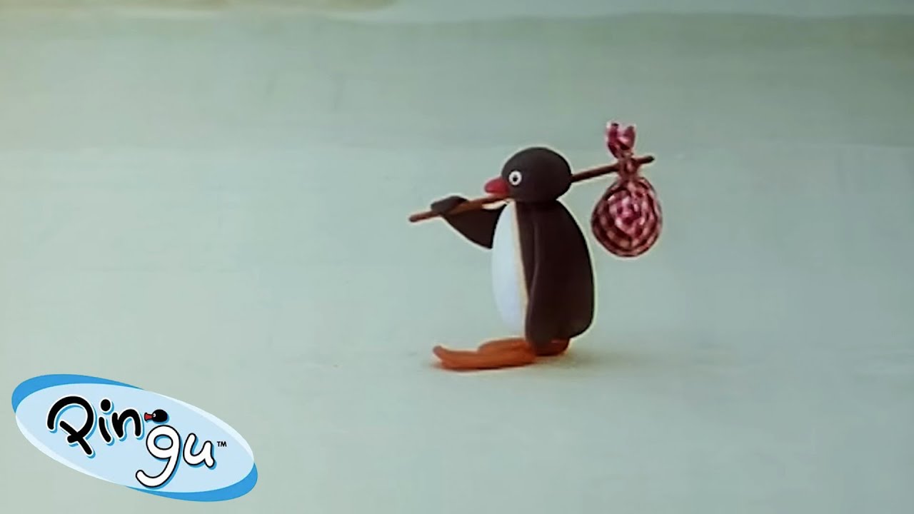 پینگوی فرار می‌کند! 🐧 | پینگوی - کانال رسمی | کارتون برای بچه‌ها