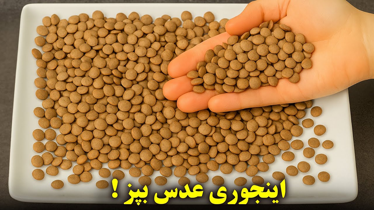 عدس را این‌طور بپز، طعمی صد برابر خوشمزه‌تر از گوشت دارد!