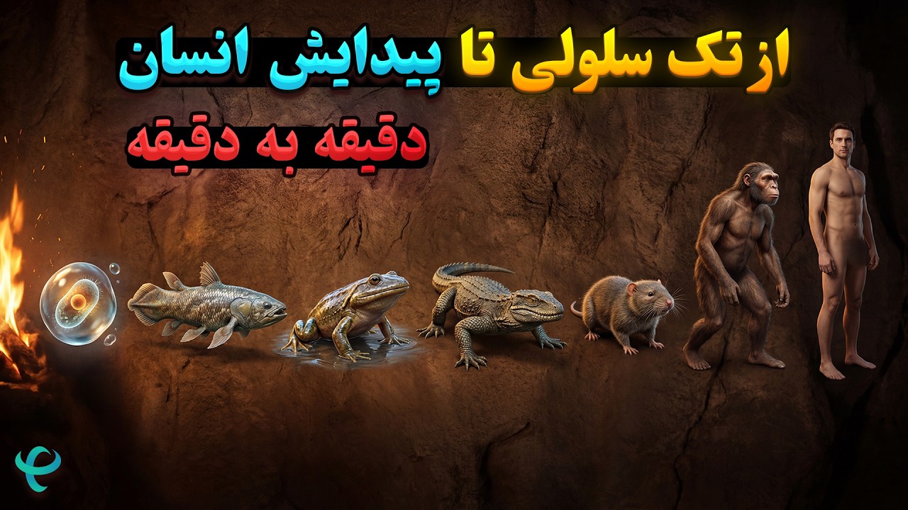 تکامل ۴ میلیارد ساله در ۲۸ دقیقه | از سلول تا انسان