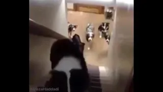 لذت ببرید