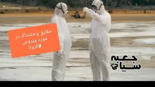 جعبه سیاه ویروس کرونا