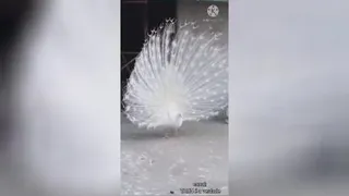 عظمت بی پایان الهی