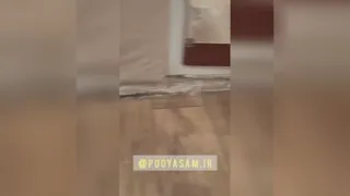 شرکت سمپاشی شیراز