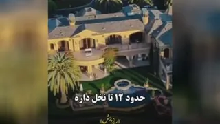 نقاشی رویاها