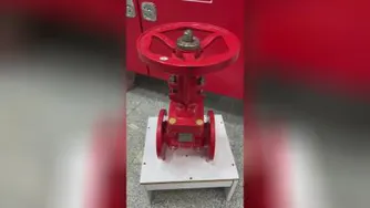 GATE VALVE شیر دروازه ای SO&Y آتش نشانی