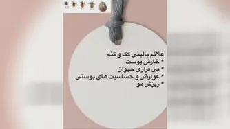 کنه