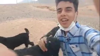 فیلم