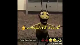 شادی