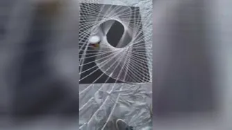 هنر وخلاقیت