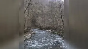 طبیعت زیبا و دیدنی