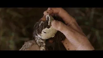 فیلم The Unholy 2021