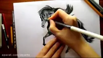 نقاشی سه بعدی اسب