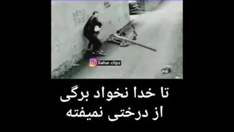 تاخدانخواد برگ از درخت نمیفته
