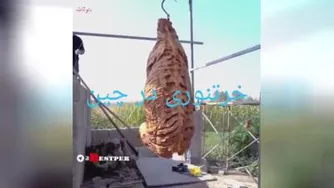 خوردن خر تنوری در چین