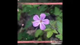 عکاسی خودم