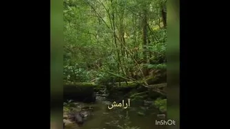 ارامش محض 🌿☘🍃🍀🌿