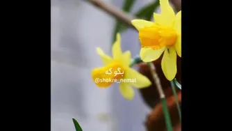 اصرار گن تا درها باز شود. 🙏
