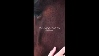 قهرمان افسانه ای مسابقات ویمبلدون. ⭐