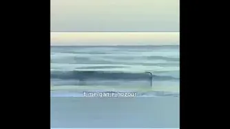 قدر دانی از داشته ها. عرشیانفر