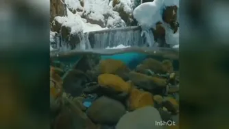 ایمان و باور