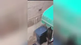 آخی😂😂😂