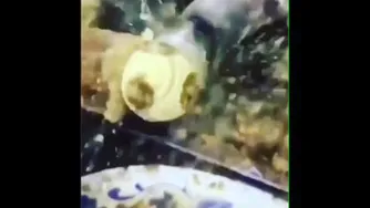 چه چوب خوشگلی