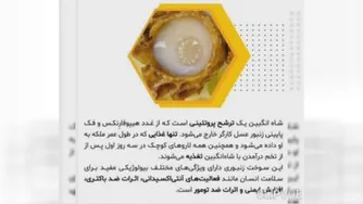 فروش تخصصی ژل رویال