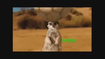 پپسی علیرضا گلزار