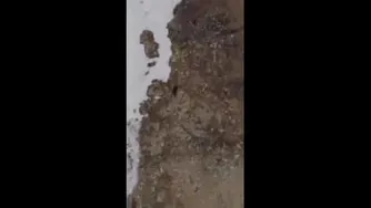 فقط ادامه بده