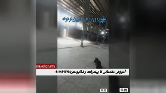 آموزش فرامین مقدماتی در مدت سه روز شهرستان لوشان دوبرمن و ژرمن