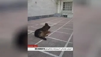 رضا کبودهن آموزش تخصصی مقدماتی تا پیشرفته