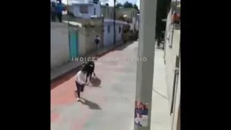 گاو چرون با شکست رو به رو شد