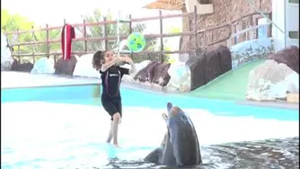 دلفین و پرنسس