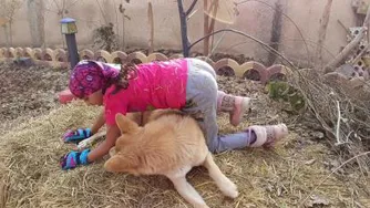 بازی