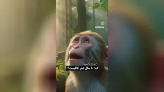 زندگی آدم ها چگونه می باشد؟؟