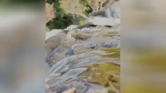 ثواب آیه الکرسی