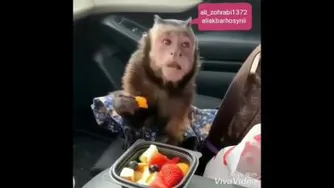 طنز