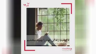 یک قیاس فوق العاده در مورد زنبور عسل و مگس