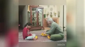 تقسیم بندی بودجه توسط بابا بزرگ