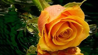 موزیک مهدی جهانی