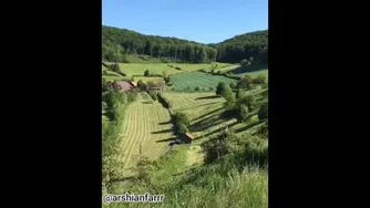 ثروت