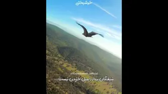 شیفتگان پرواز