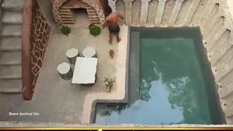 خلاقیت جالب