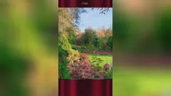 سلام صبح بخیر