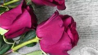 سخنان زیبای دکتر الهی قمشه ای