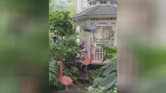 لبخندوامیدبه روزنوبایه آهنگ شاد