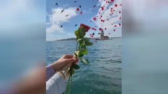 تقدیم گل سرخ به همه عاشقای خوب
