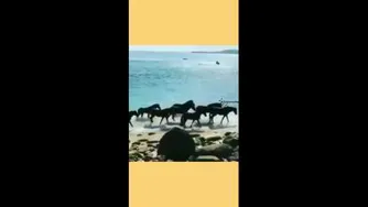 سخنان ناب استاد عرشیانفر