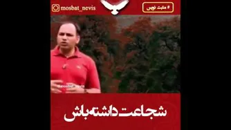 شجاعت